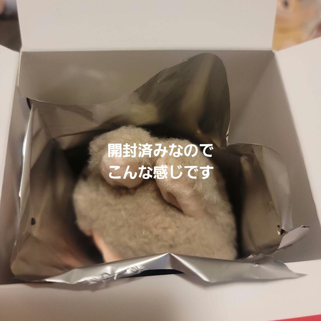 Amazon.co.jp: 【単品 正規品・未開封 専用ケース付き 】 POP