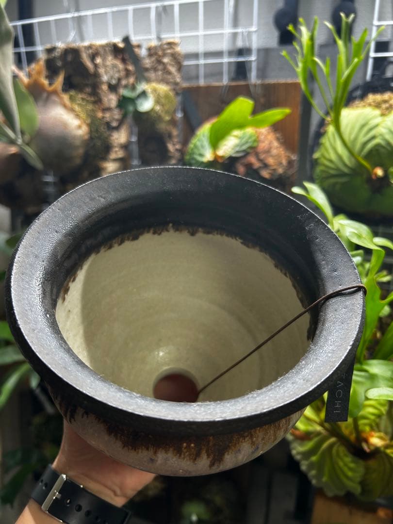 カタチ製作所Mederu pot ブーケ MUTANT ミュータント カタチ製作所 ミュータント ブーケ カタチ製作所Mederu pot ブーケ