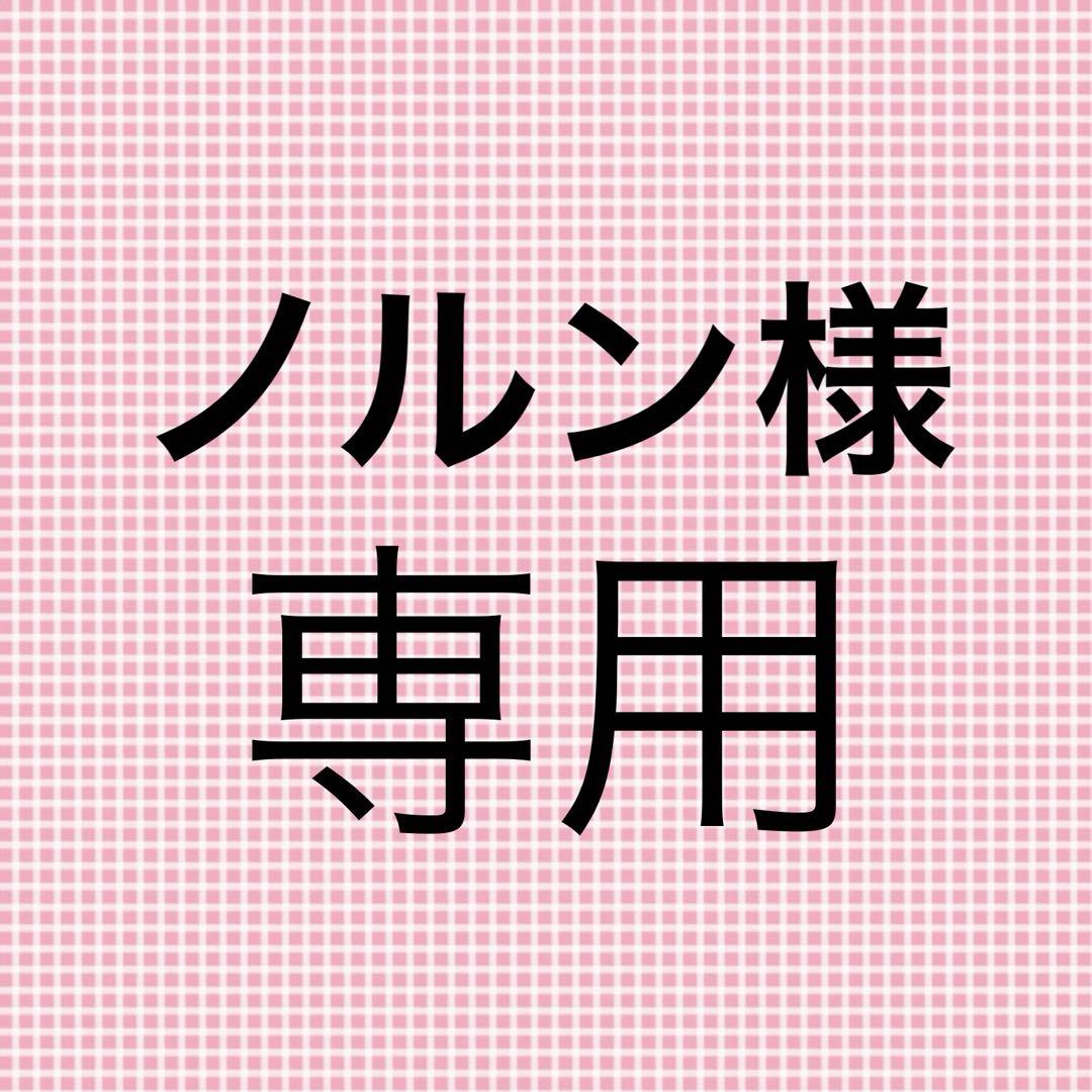 ノルン様☆専用