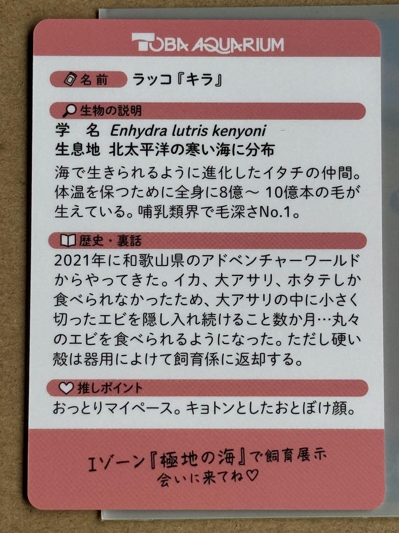 鳥羽水族館　TOBA AQUARIUMコレクションカード　メイちゃん　キラちゃん