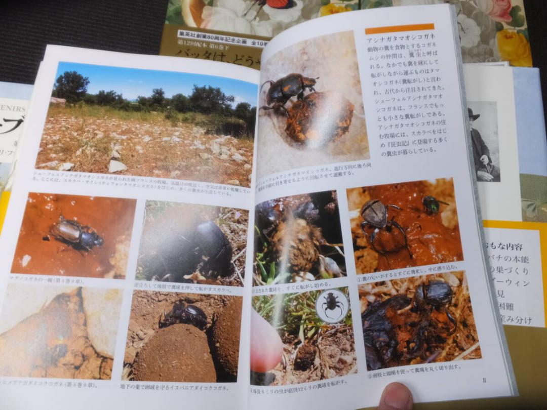 定価7！完訳！ファーブル昆虫記！全20冊揃！アンリ・ファーブル