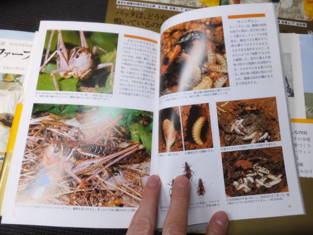 定価７万円！完訳！ファーブル昆虫記！全20冊揃！アンリ・ファーブル！美本！ 定価7万円！完訳！ファーブル昆虫記！全20冊揃！アンリ