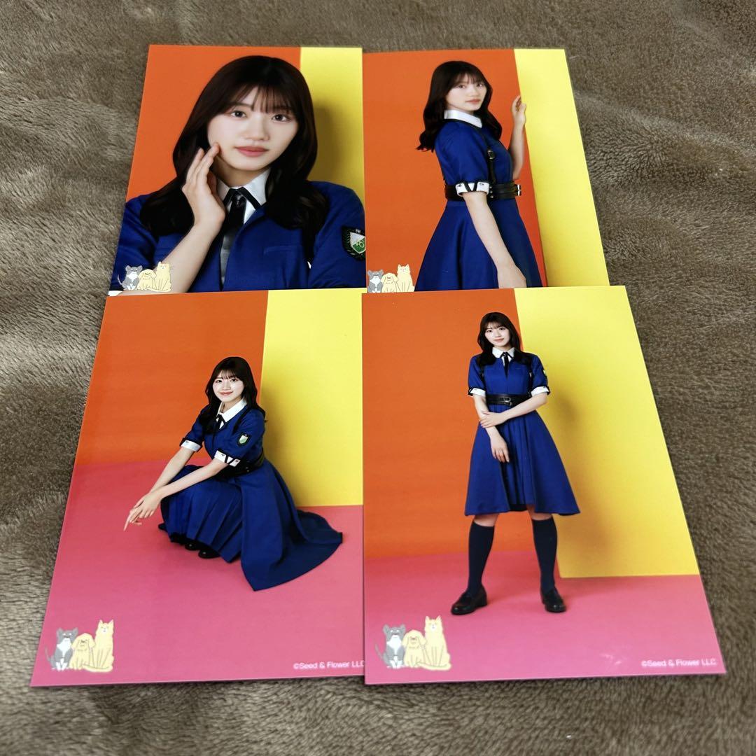 当選書付】日向坂46 けやき坂 佐々木美玲 サイン入りチェキ