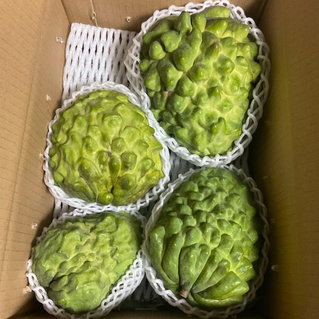 箱番号3.国内最高峰アテモヤ1.5Kgのアテモヤ入りです。3905g15620円