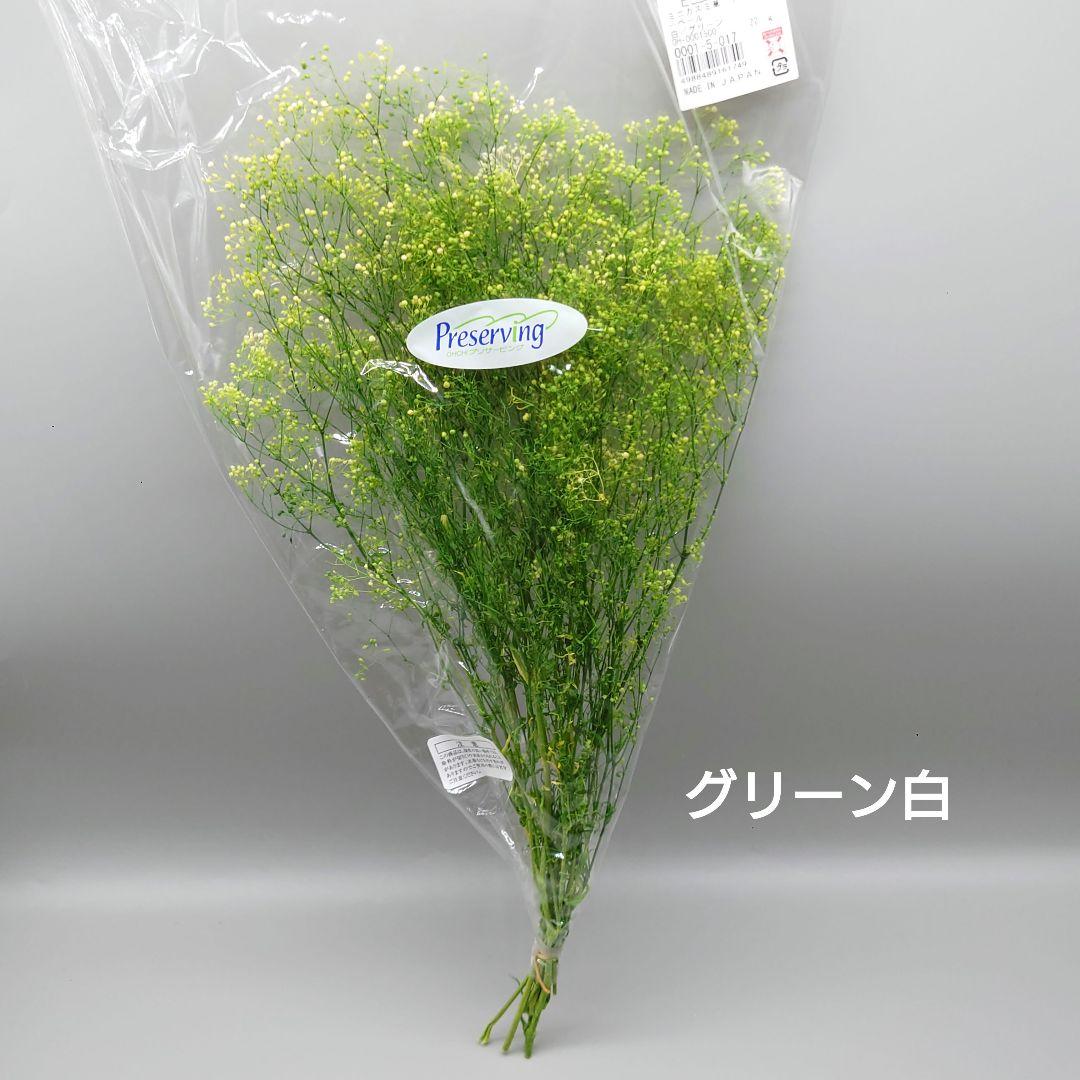 no.23142 かすみ草　フラワーベール　グリーン白　新品　大地農園