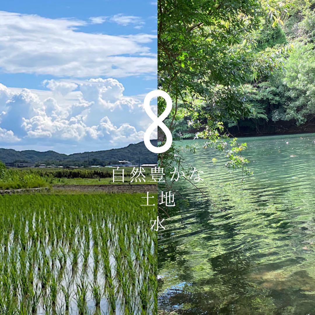 ＼種から育てた／令和5年産　淡路島コシヒカリ20kg