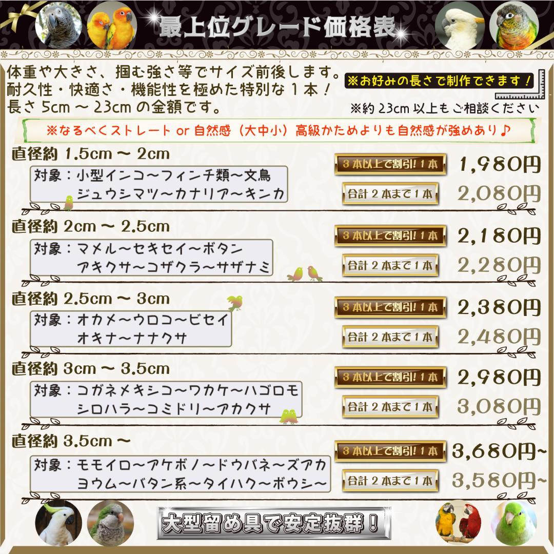 その他 RINO