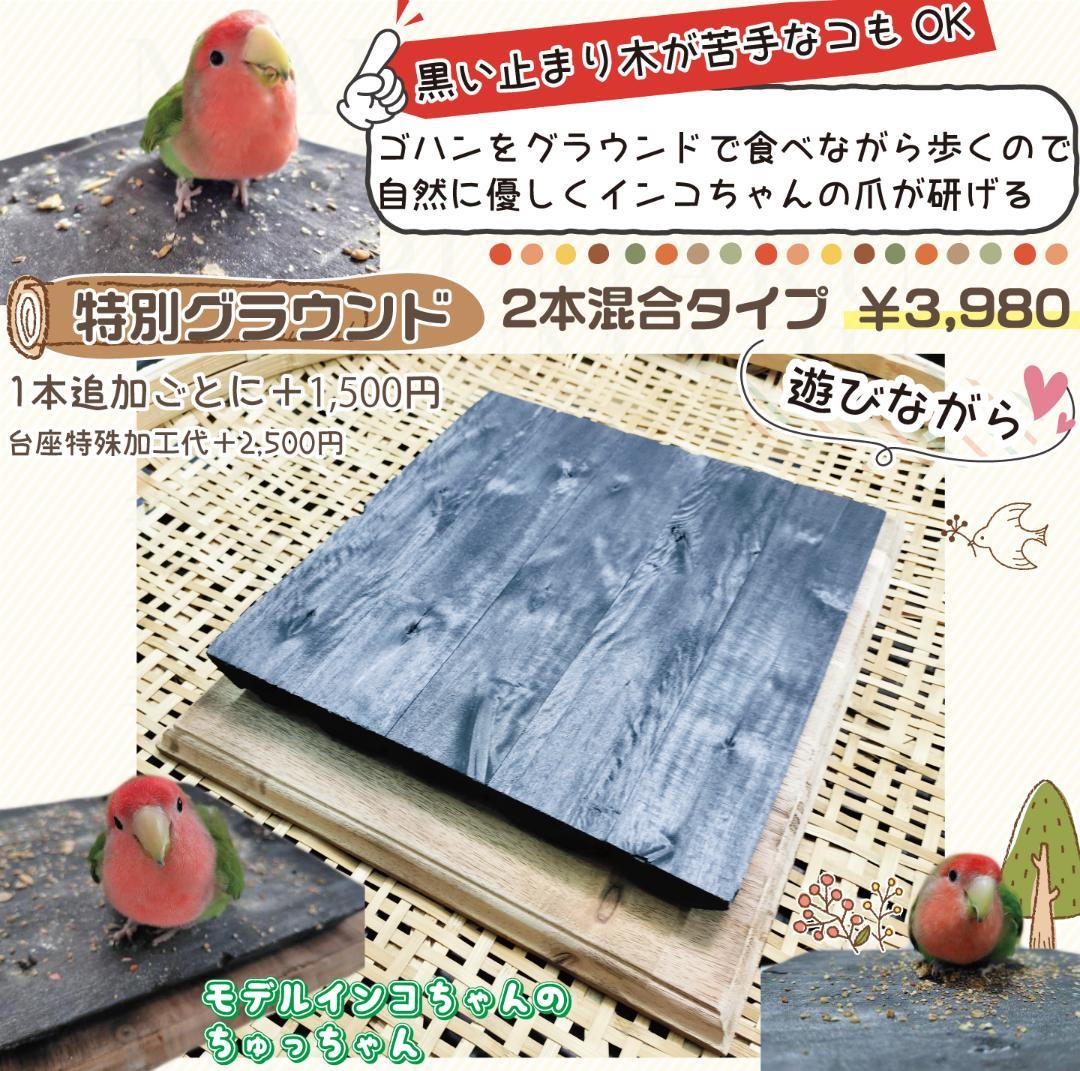 その他 RINO