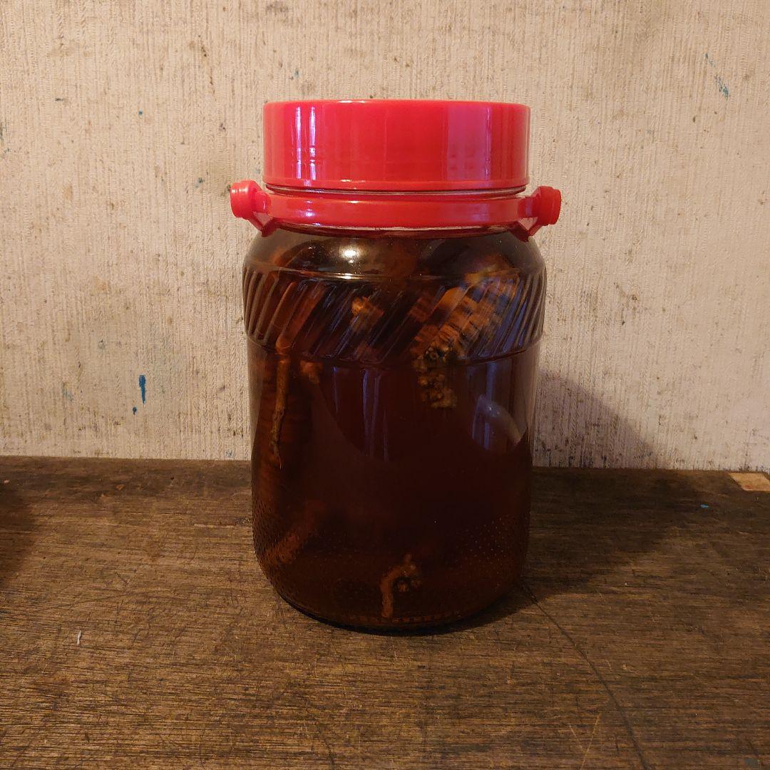 大阪府金剛山系二上山の天然物ツルニンジン酒3Ｌ入り