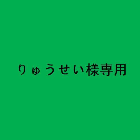 りゅうせい様専用