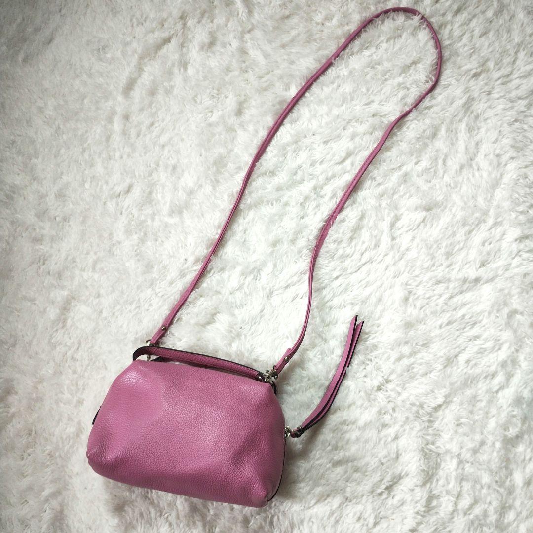【限定価格セール！】 希少カラー✨ジャンニキャリーニ アリファ S ショルダーバッグ バッグ