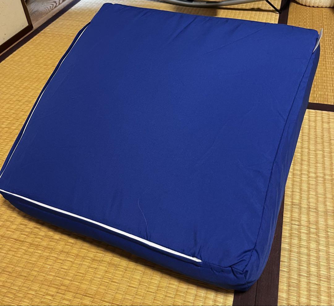 トゥルースリーパー　座布団　クッション　2枚