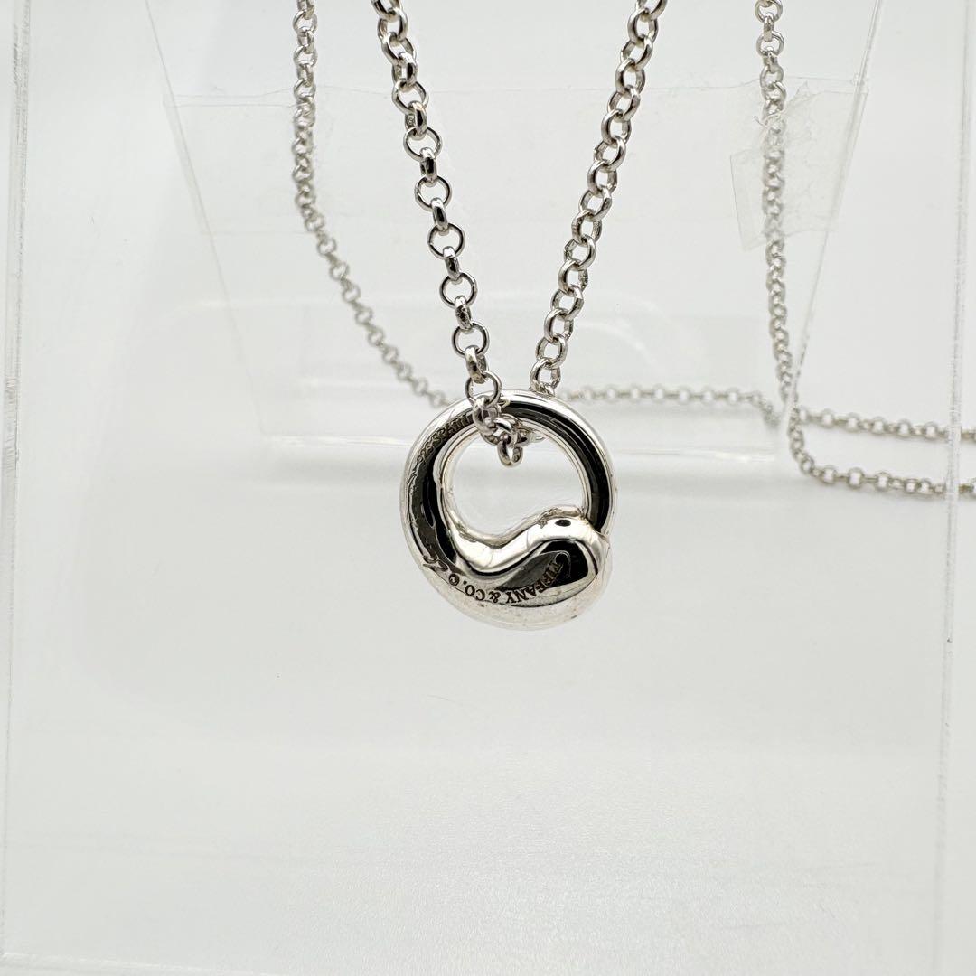 Tiffany&Co. ティファニー エターナルサークル ネックレス