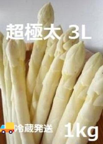 超極太北海道産 ホワイトアスパラ 3Lサイズ以上 1kg