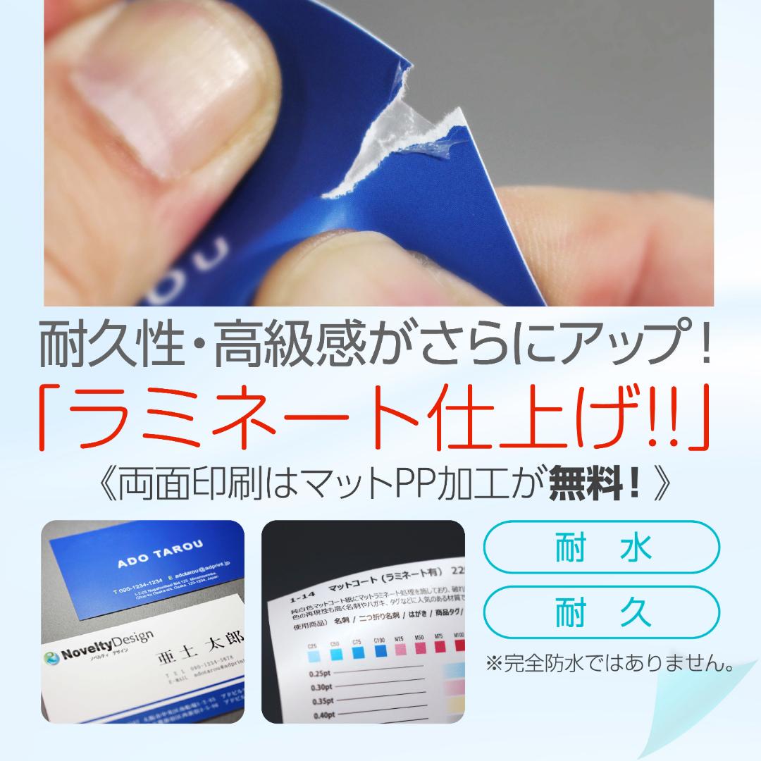 セミオーダー!プロのデザイナーが作る商業印刷の高品質名刺両面100枚/Y0033