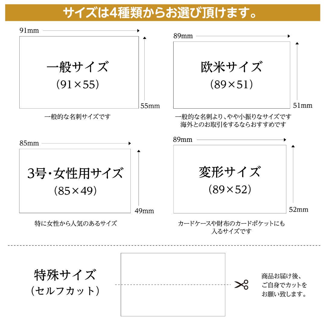 セミオーダー!プロのデザイナーが作る商業印刷の高品質名刺両面100枚/Y0033