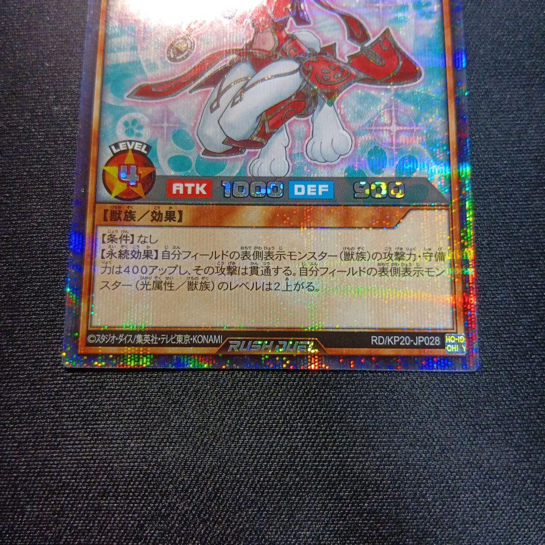 遊戯王 ラッシュデュエル アニマジカソーサラー シークレット 絵 遊戯王 ラッシュデュエル アニマジカソーサラー シークレット 絵