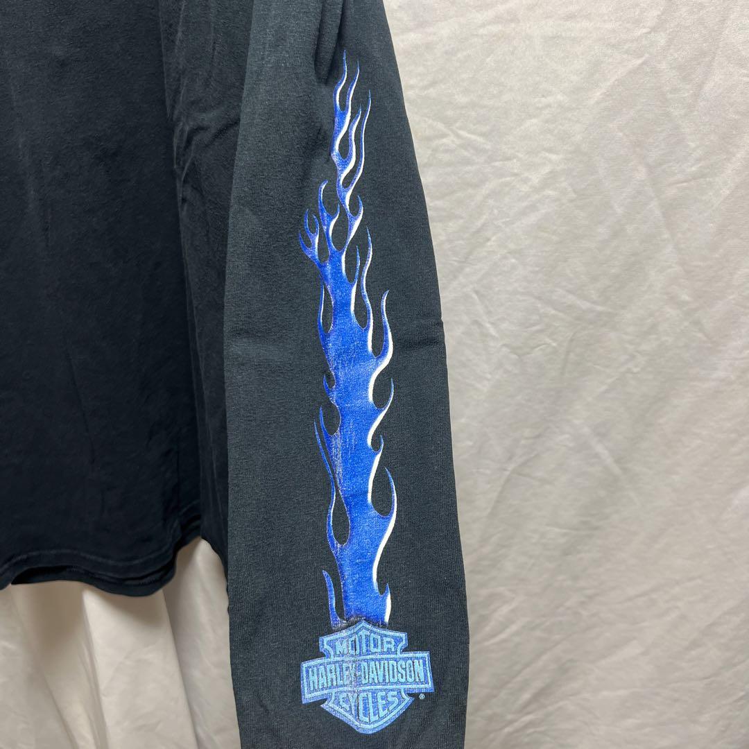 Harley Davidson ハーレーダビッドソン ブルーフレイム ロンT Harley Davidson ハーレーダビッドソン ブルーフレイム ロンT