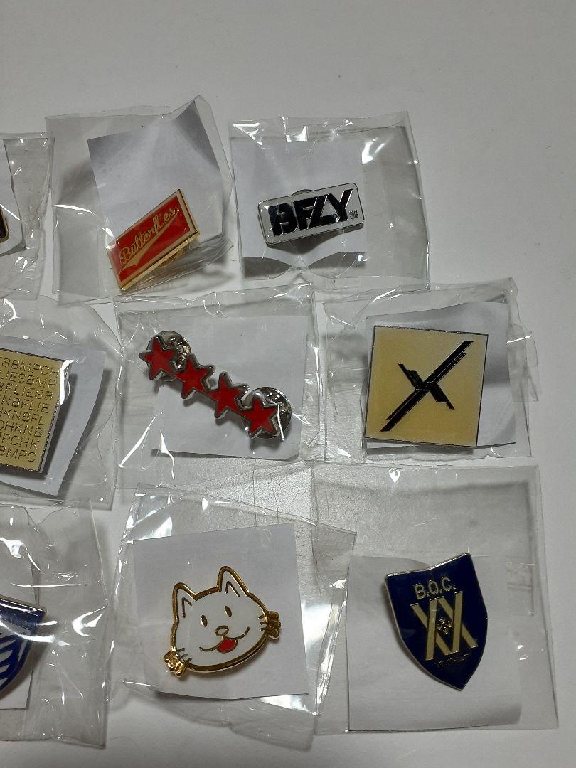 BUMP OF CHICKEN ピンバッジ 通常11種コンプリート BUMP OF CHICKEN ピンバッジ 通常11種コンプリート+シークレット