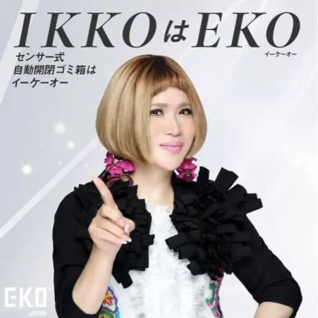 新品未使用✨EKO 自動開閉センサー 観音式　ゴミ箱 20L EK9287MT