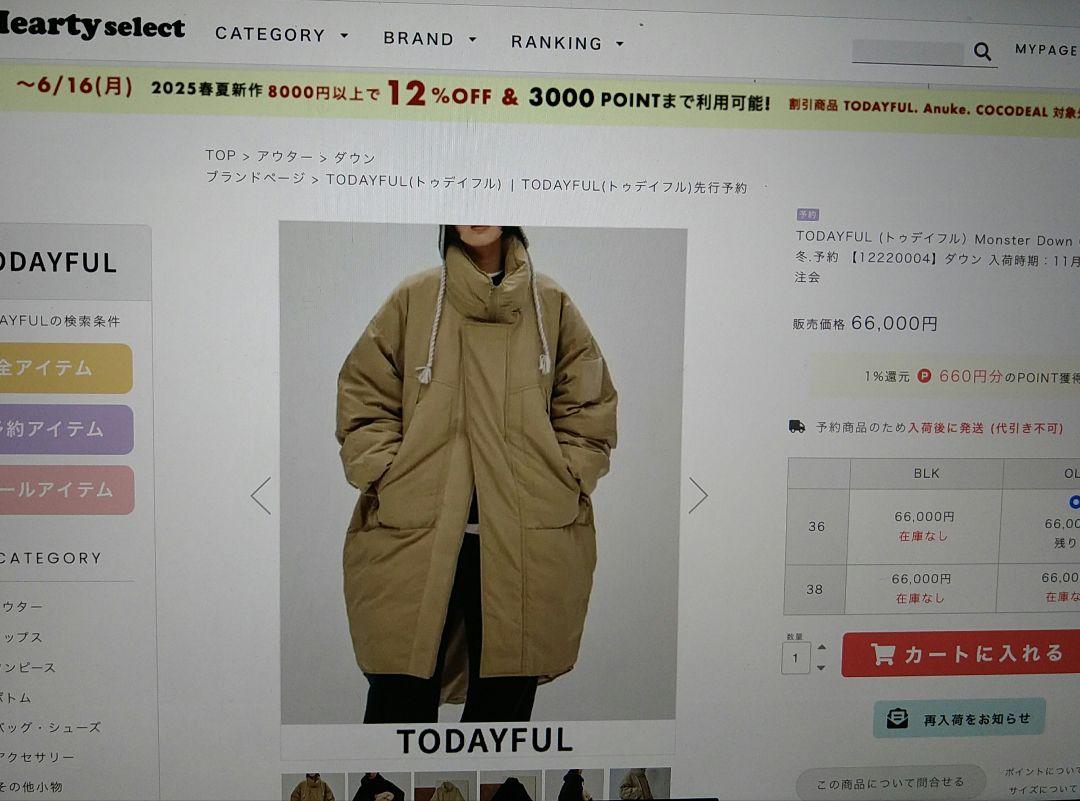 【最終値下げ】TODAYFUL MonsterDownCoat 36