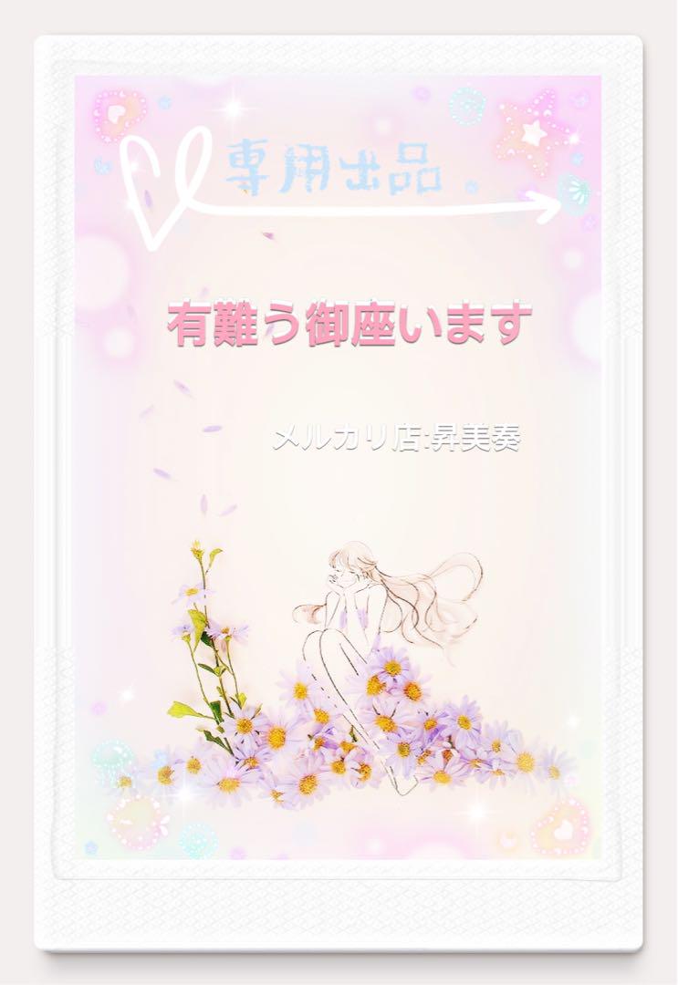 ぶりちゃん様専用