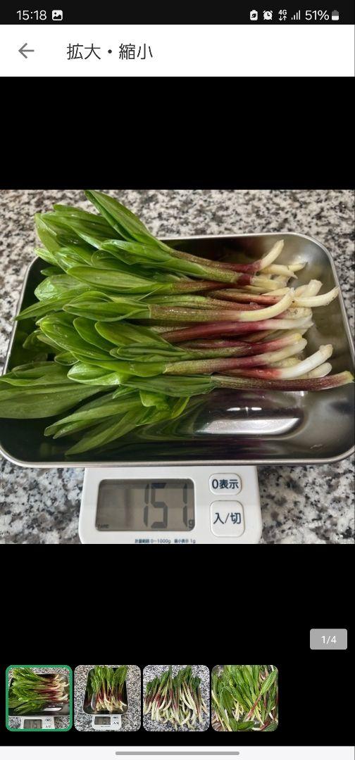 山の頂き。行者にんにく