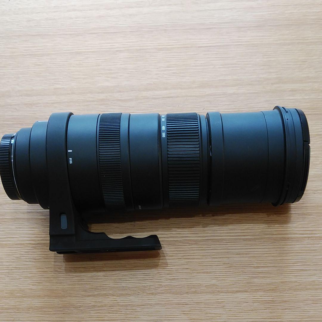SIGMA APO150-500F5-6.3DG OS HSM F CANON QuLK1-m42845251883 正規店特価