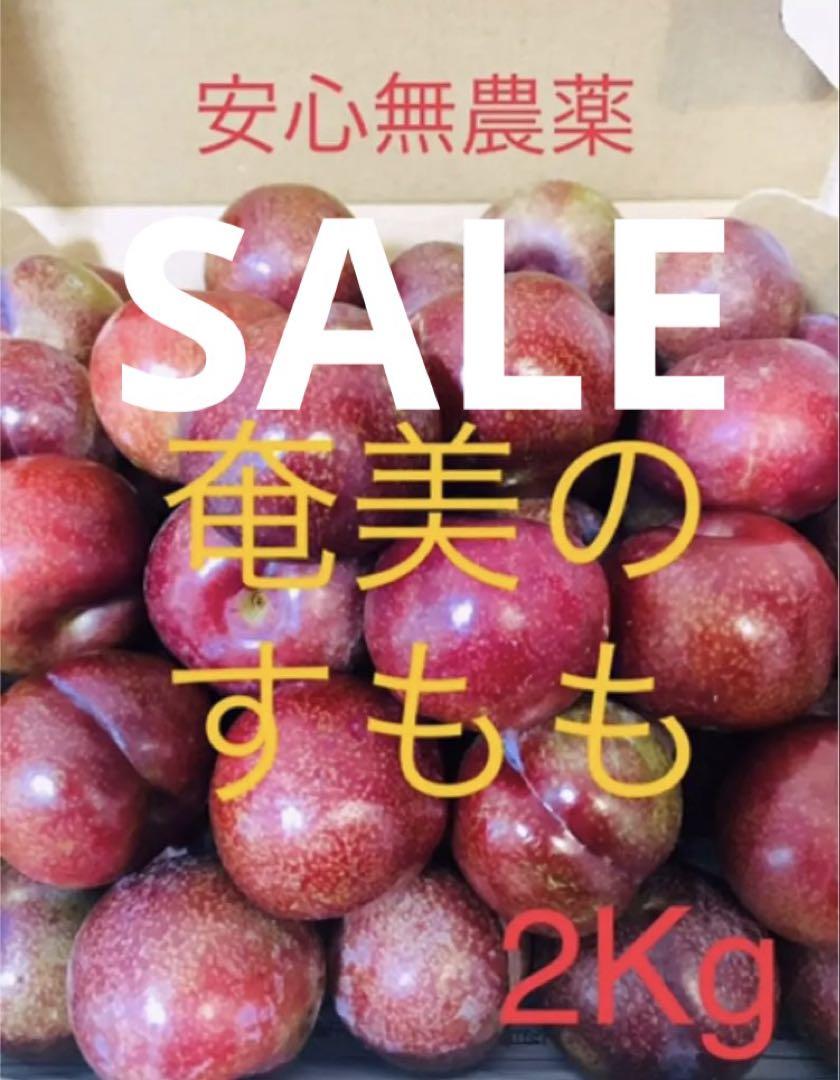 奄美大島無農薬 すもも 3キロ 完全無農薬 奄美大島産 すもも 3kg｜Yahoo!フリマ（旧PayPayフリマ）