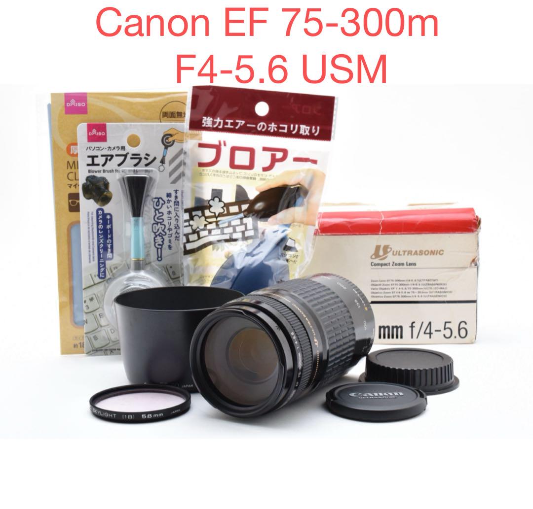 デジタル一眼レフカメラCanon EF 75-300mm F4-5.6 USM - メルカリ