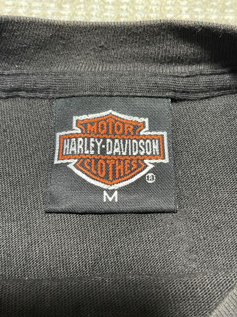 【希少】 80s HURLEY-DAVIDSON スネーク バイク 黒 M