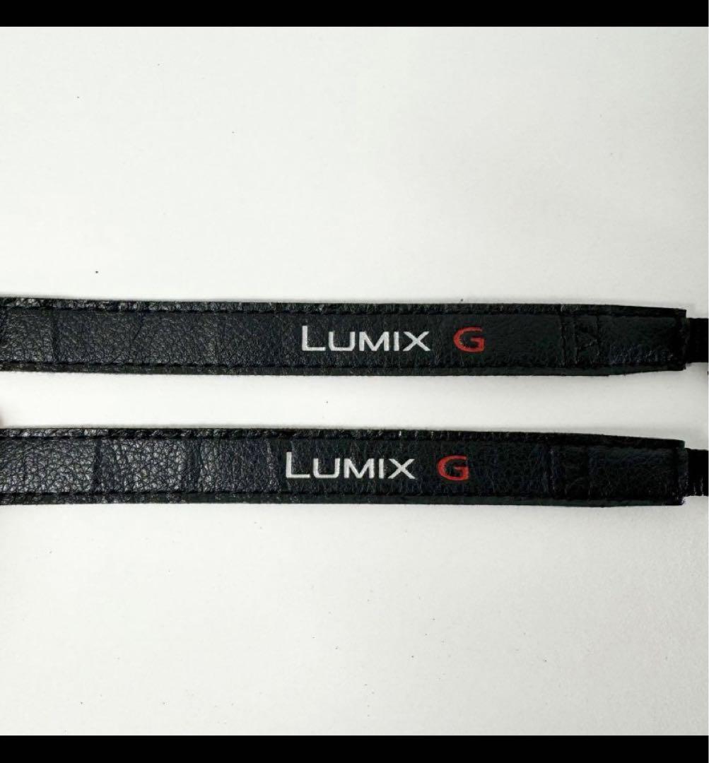 LUMIX GF9 オレンジ レザー調 12-32mm