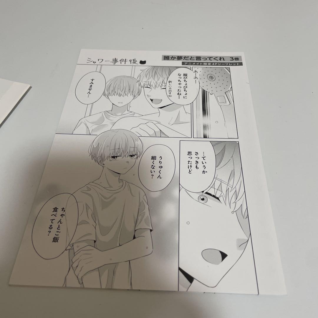 誰か夢だと言ってくれ 特典多数 リーフレット イラストカード ネップリ