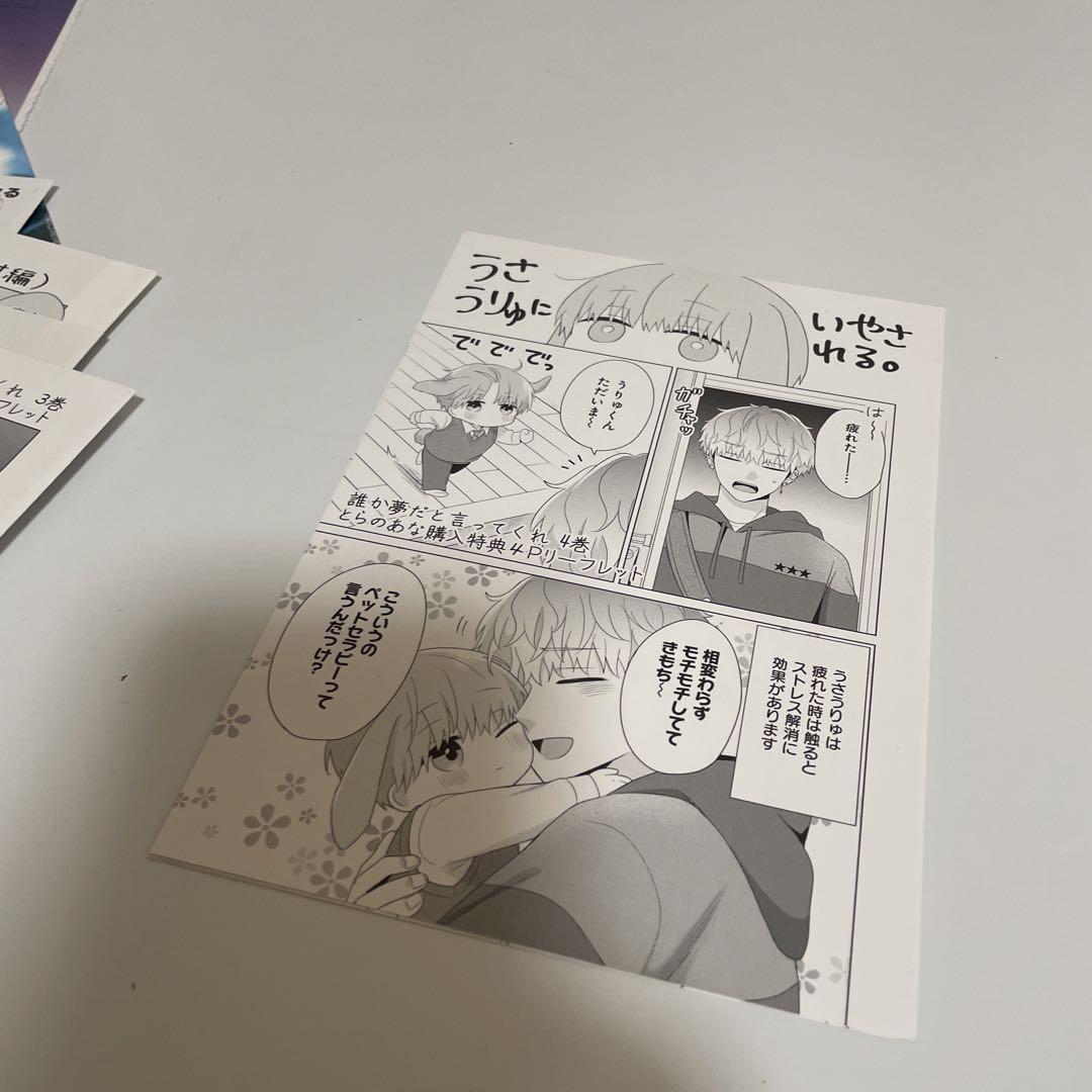 誰か夢だと言ってくれ 特典多数 リーフレット イラストカード ネップリ