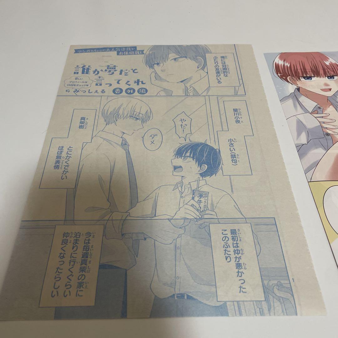 誰か夢だと言ってくれ 特典多数 リーフレット イラストカード ネップリ