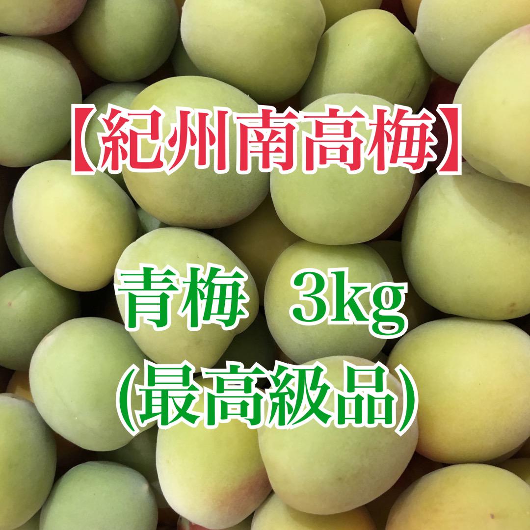 紀州南高梅　青梅　最高級品　2L・3L　3kg　送料込み