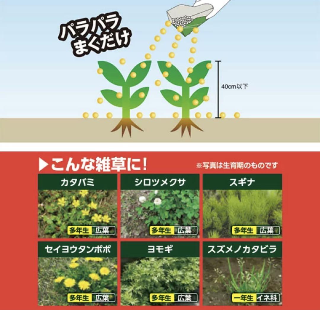 雑草対策用品 4点セット
