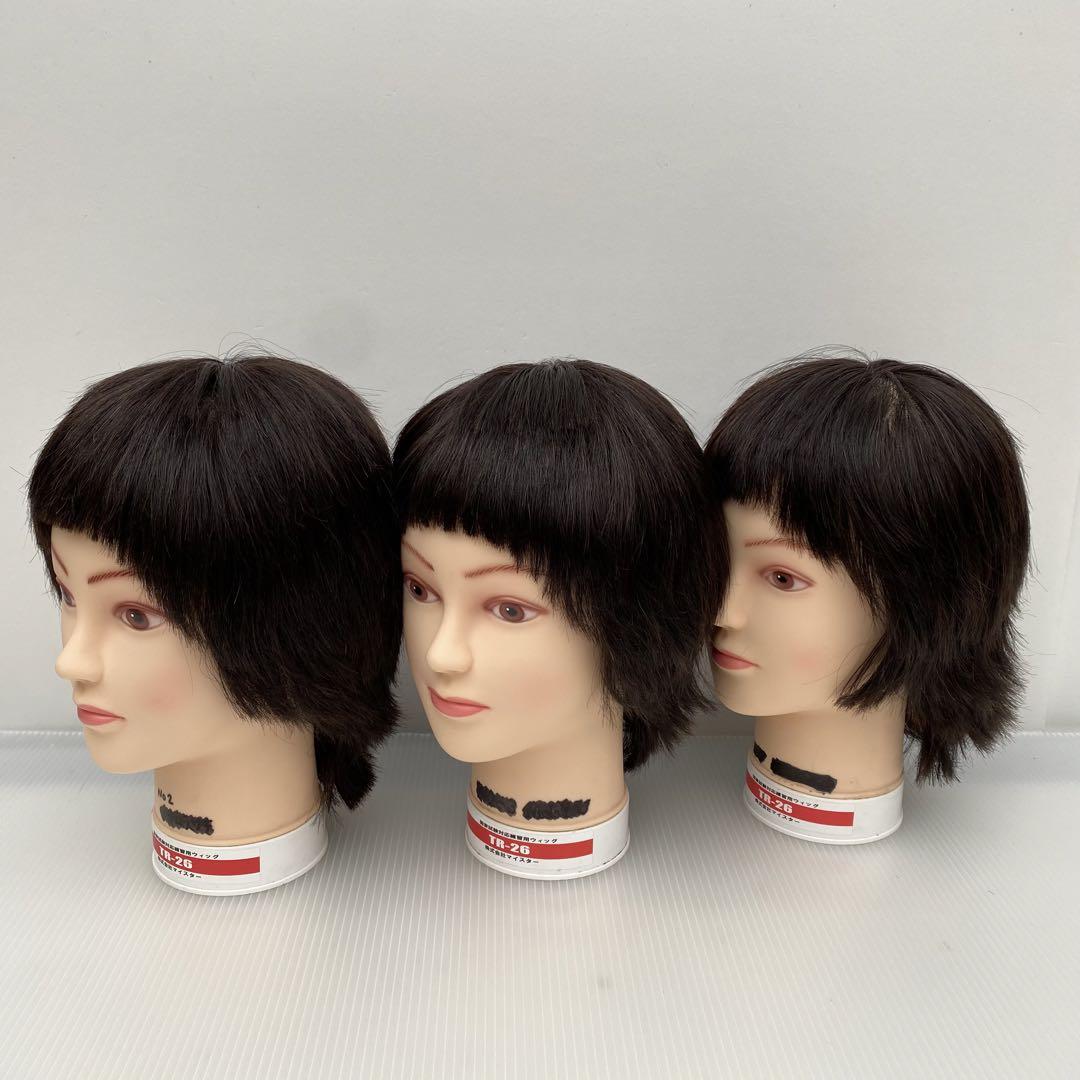 カットウィッグ カットマネキン 美容師 理容師 - ウィッグ
