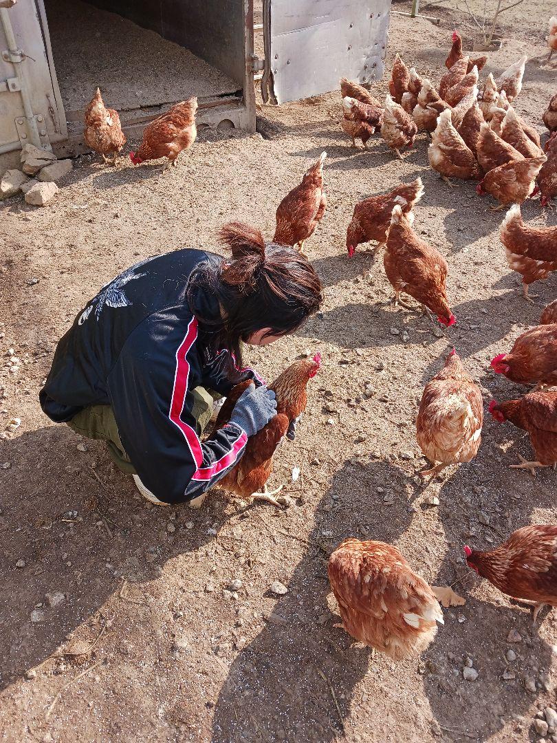 平飼い卵80個4/2常温発送