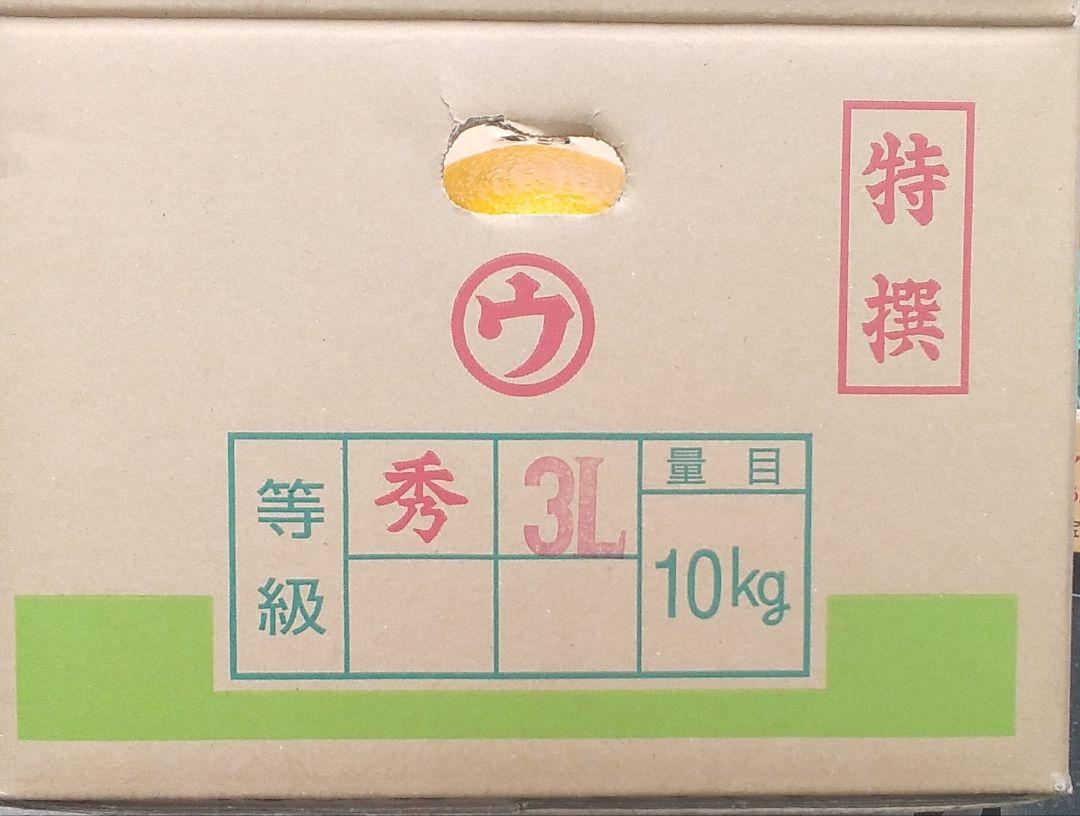 和歌山県産　はっさく　赤秀3L‼️　箱込み10㎏‼️