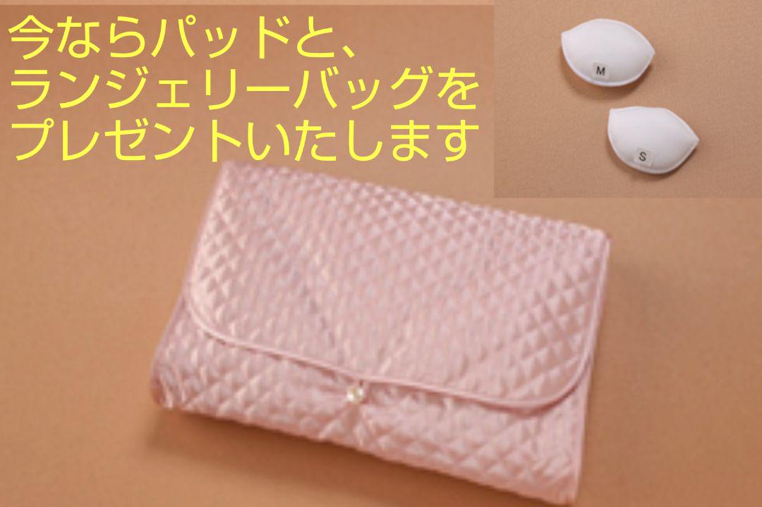 新作在庫 値下げ ドロワーズ 3点セット ドレス ブライダル FWHV2-m43003237272 日本製 新品 B75 最新作SALE