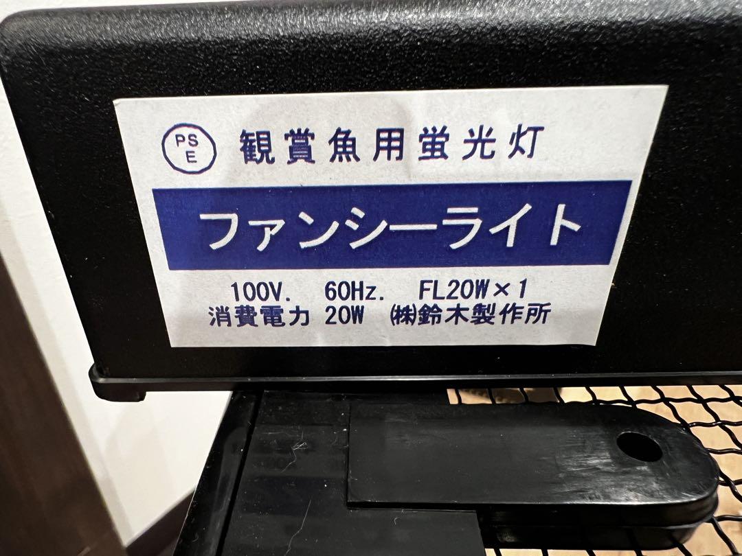 爬虫類