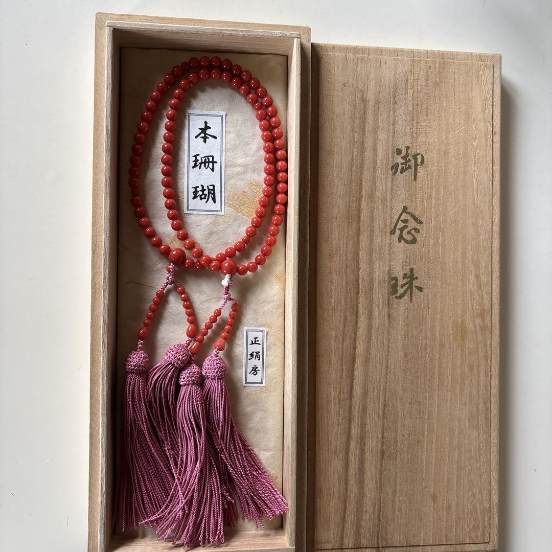 ◈ 赤珊瑚