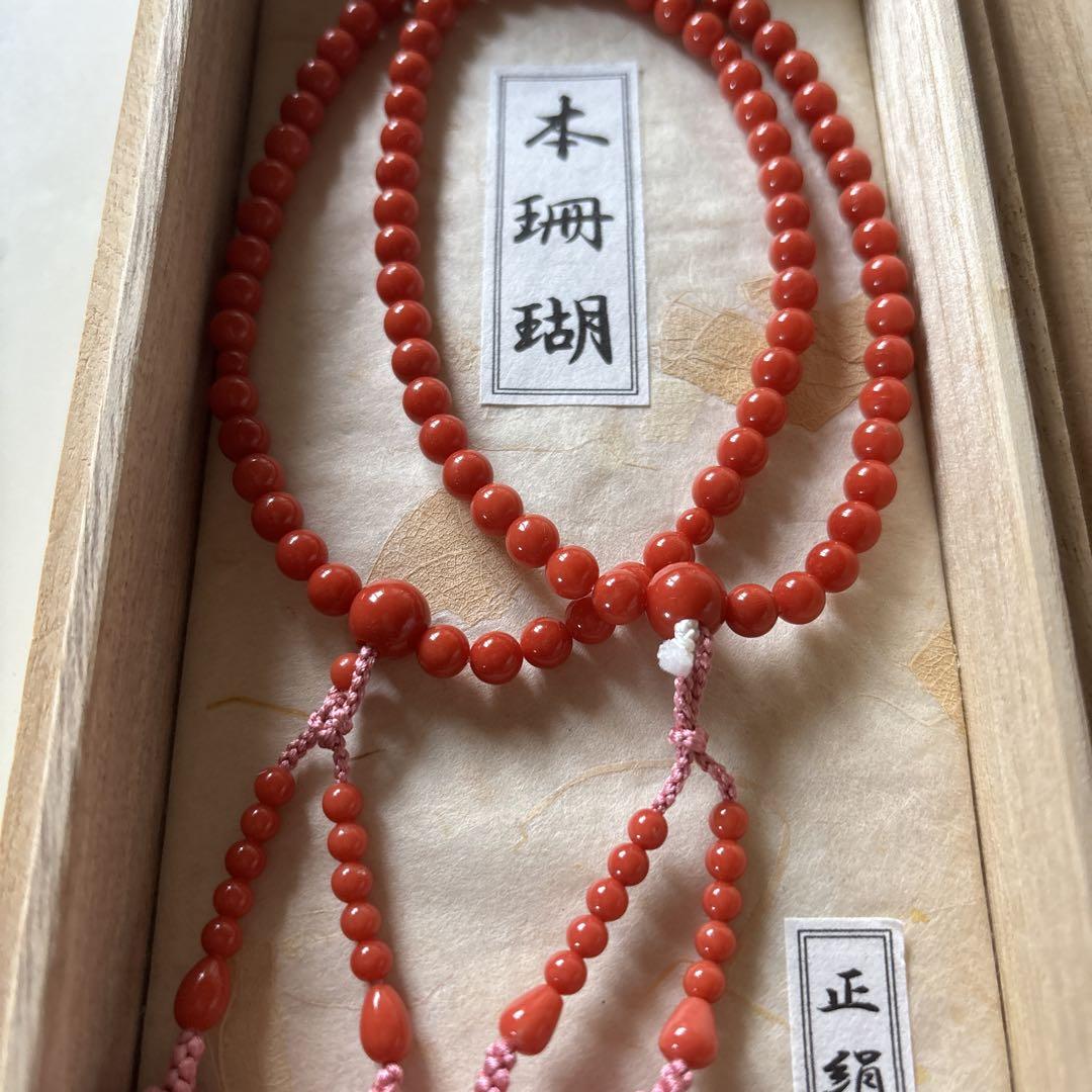 本珊瑚 赤