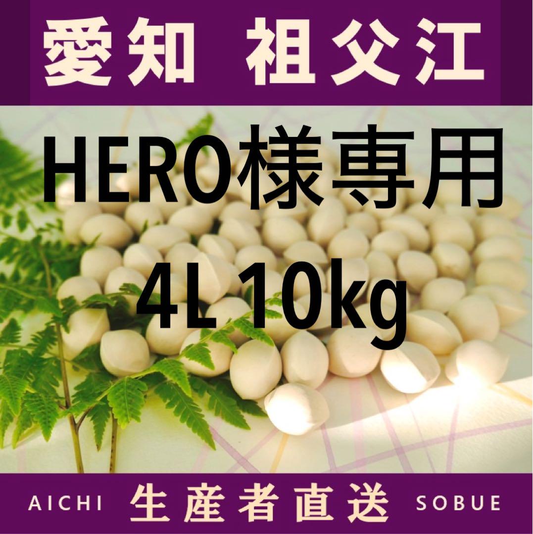 HERO様専用 2024年新物 久寿 銀杏 祖父江産 4L 10kg