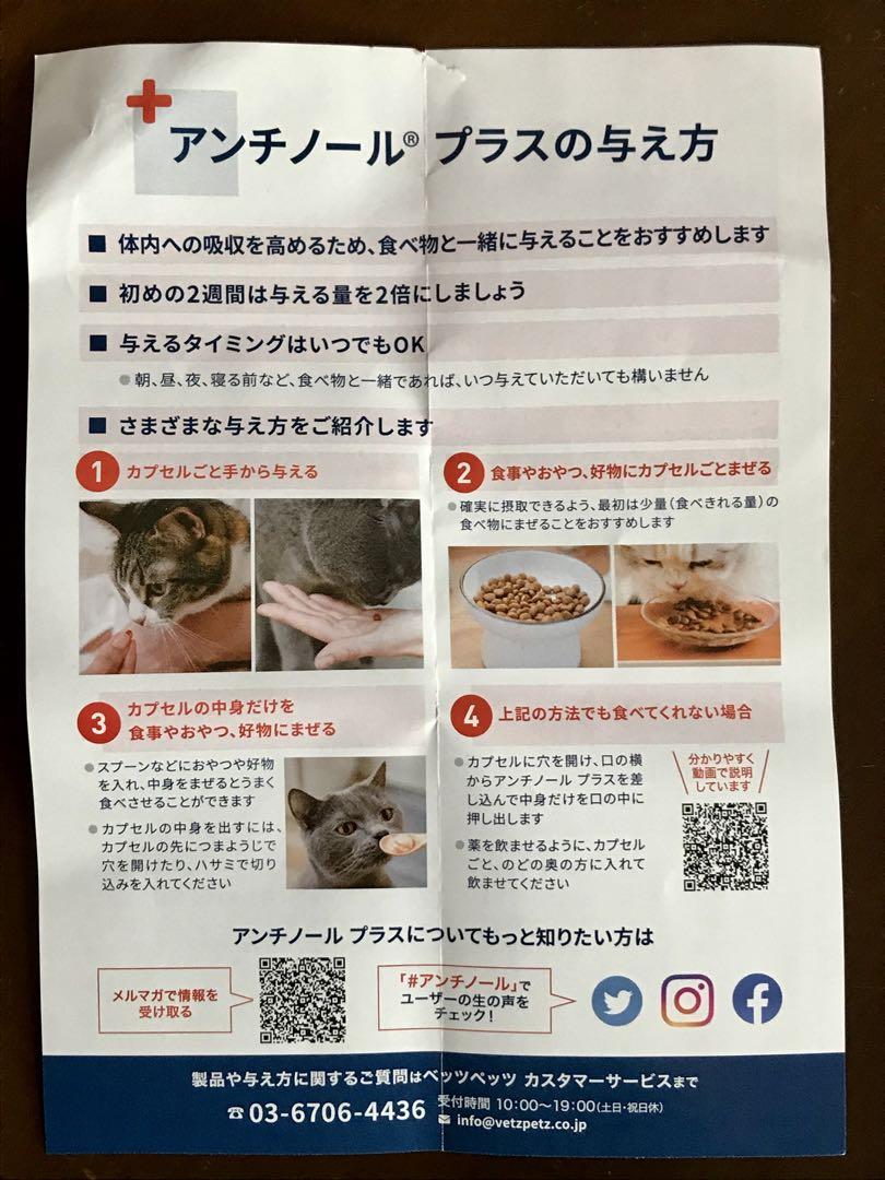 猫用　アンチノールプラス（55粒）