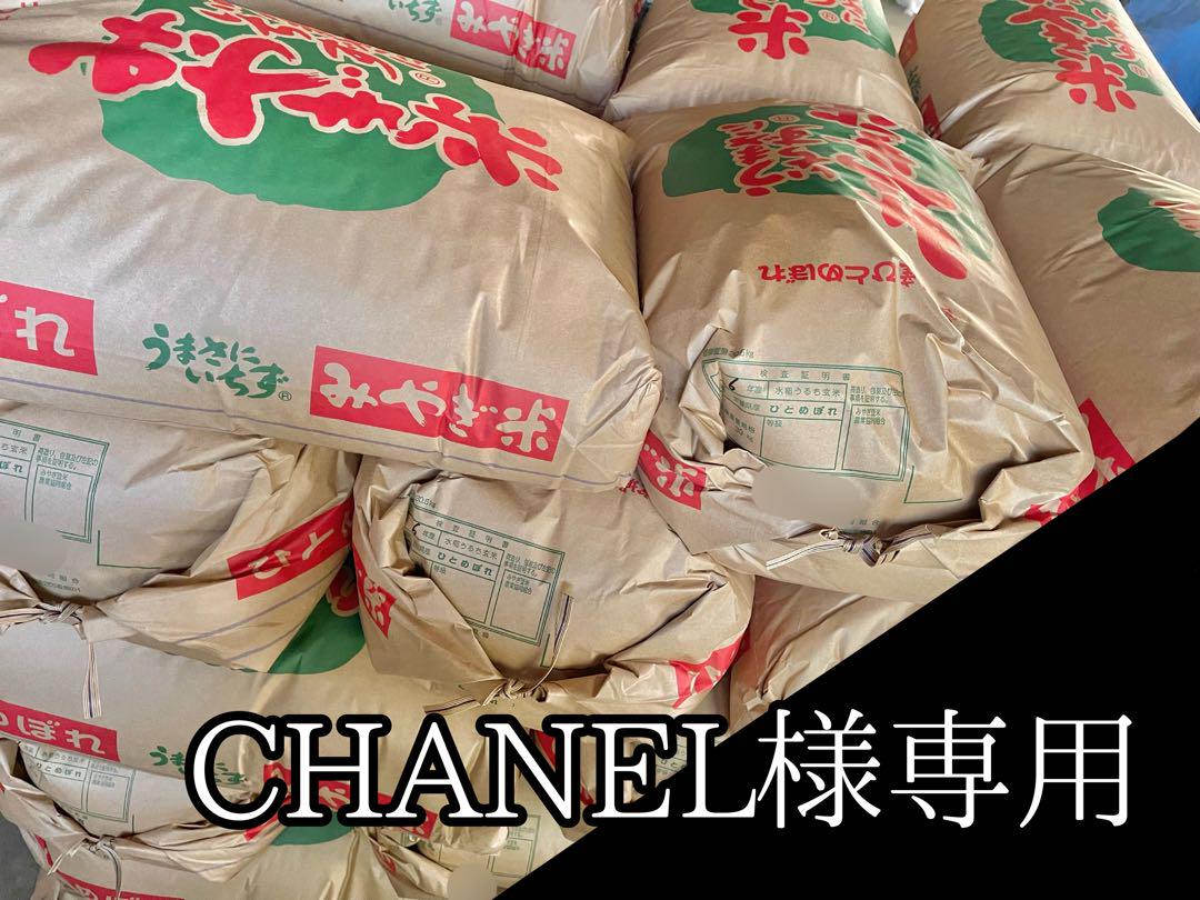 CHANEL様専用