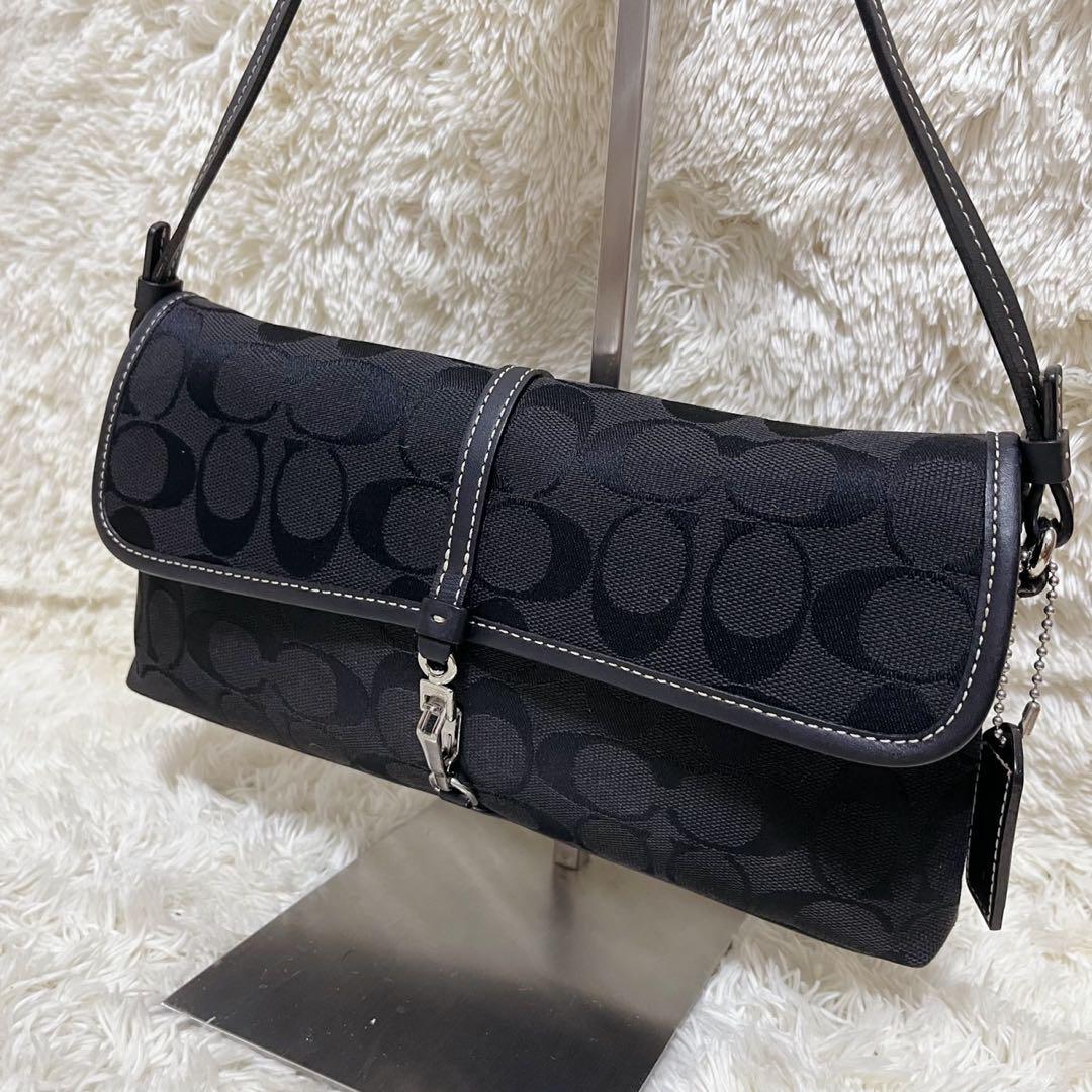 COACH コーチ アクセサリーポーチ クリップデミ シグネチャー