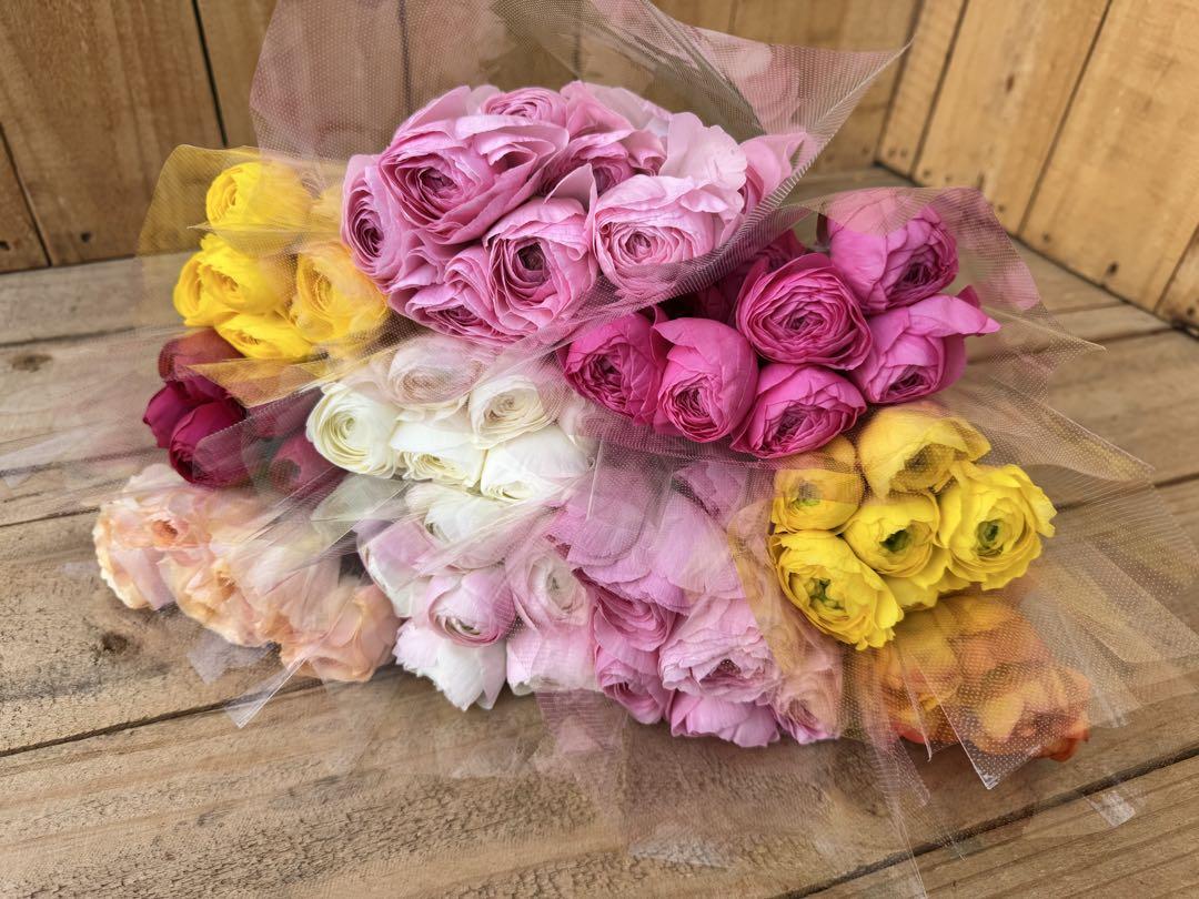 ✨大特価‼️100本【94】ラナンキュラス　ミックス　スワッグ　花束　生花 春花