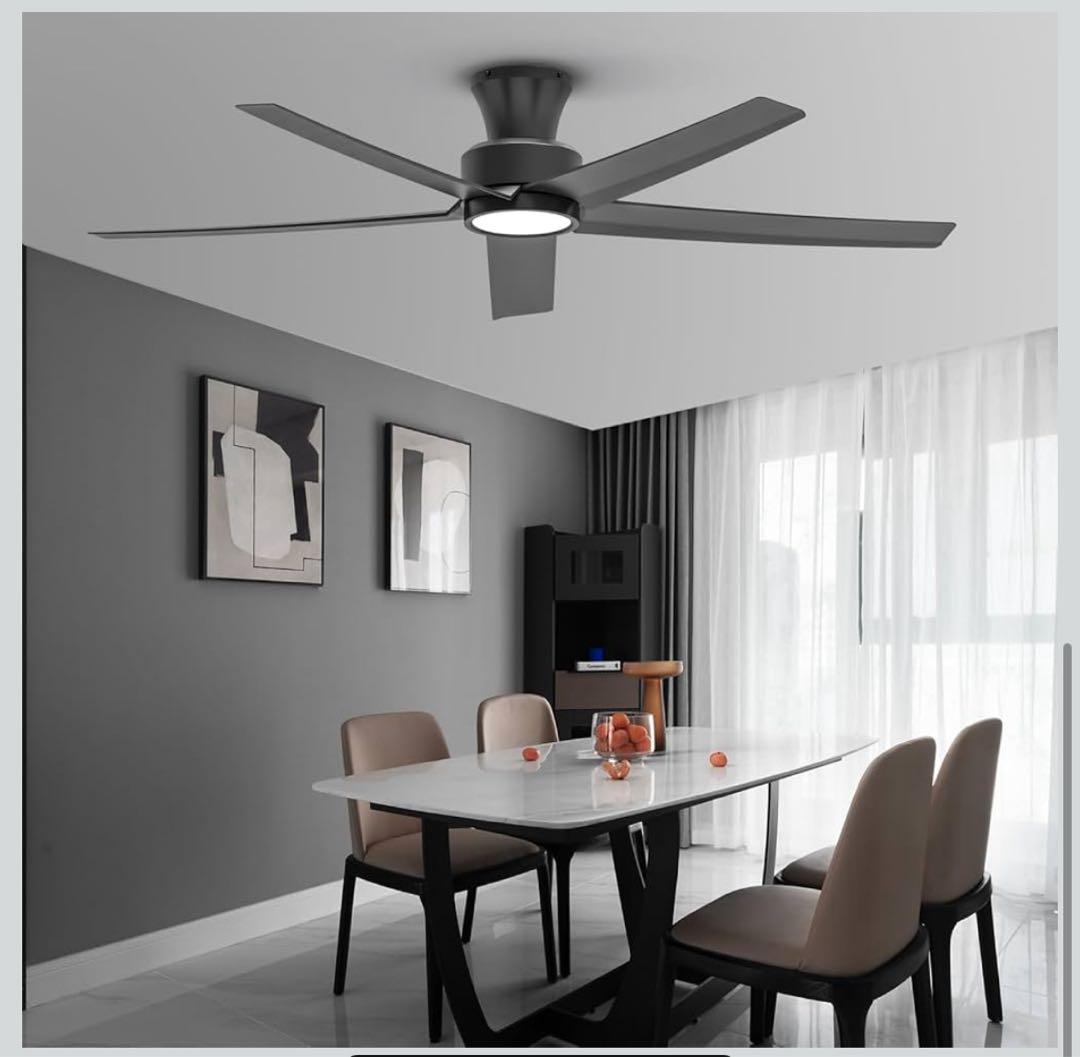 ブラックシーリングファンライト DCモーター NEXPOTALLINN_EU